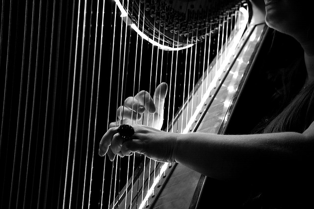 Projet "la harpe fait sa chanson"